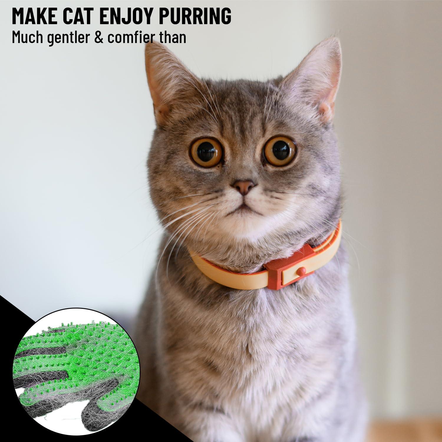 Kit de Aseo Profesional para Mascotas PET PULL - Verde