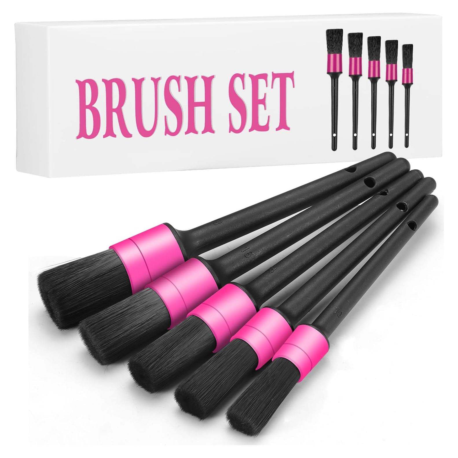 Juego de Cepillos para Detallar Automóviles Vioview 5 Piezas