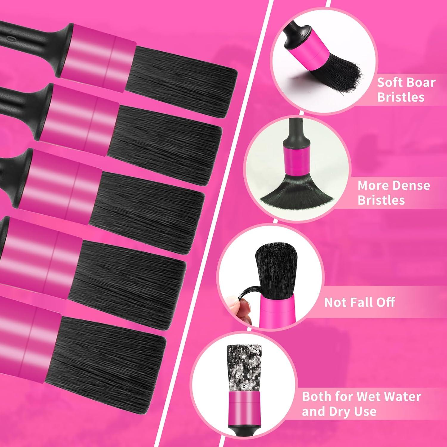 Juego de Cepillos para Detallar Automóviles Vioview 5 Piezas