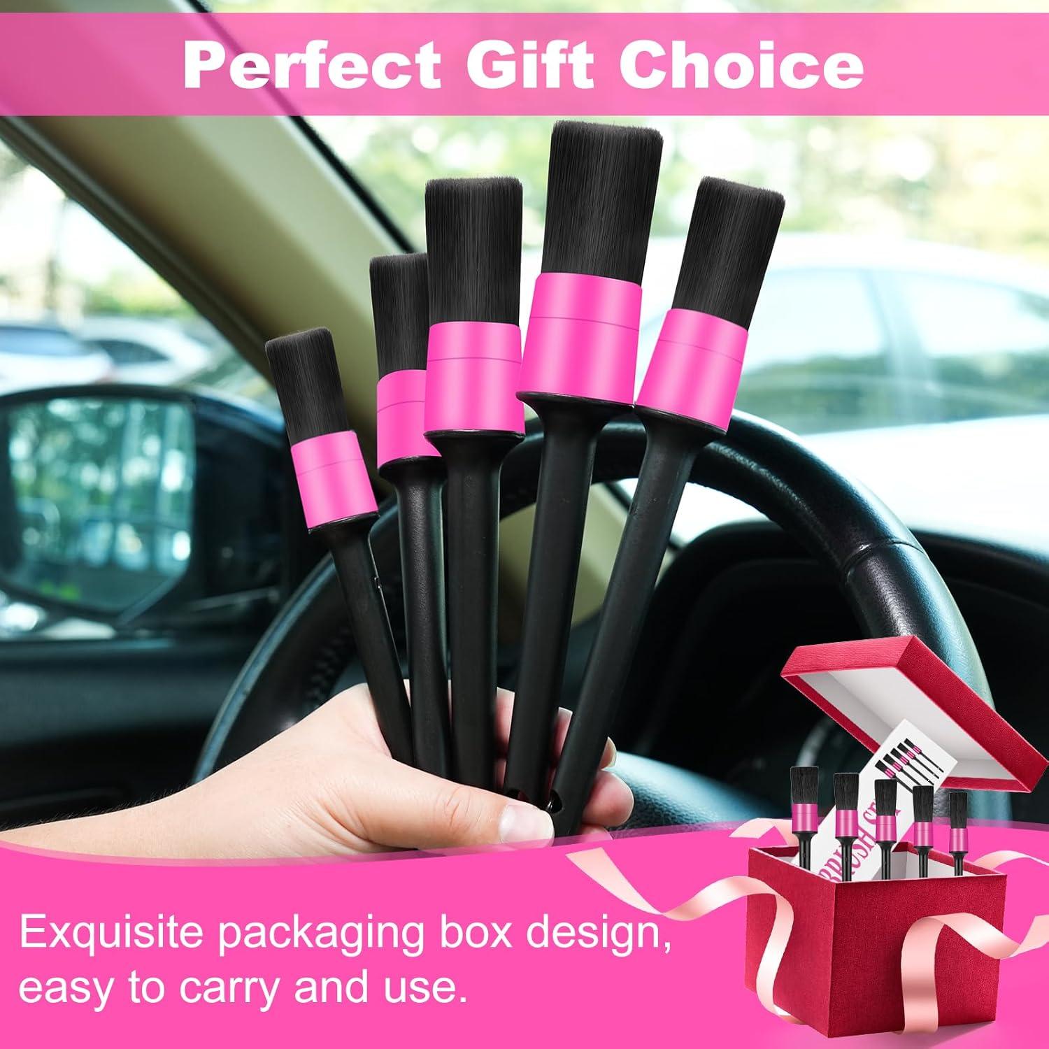 Juego de Cepillos para Detallar Automóviles Vioview 5 Piezas