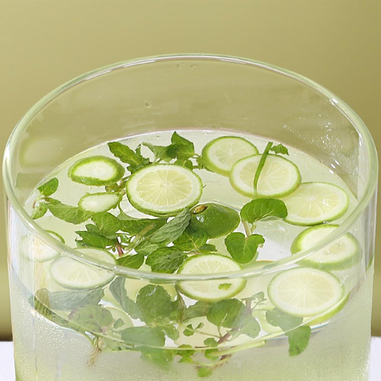 Dispensador de Bebidas de Vidrio TOCLIU 13L con Soporte de Madera