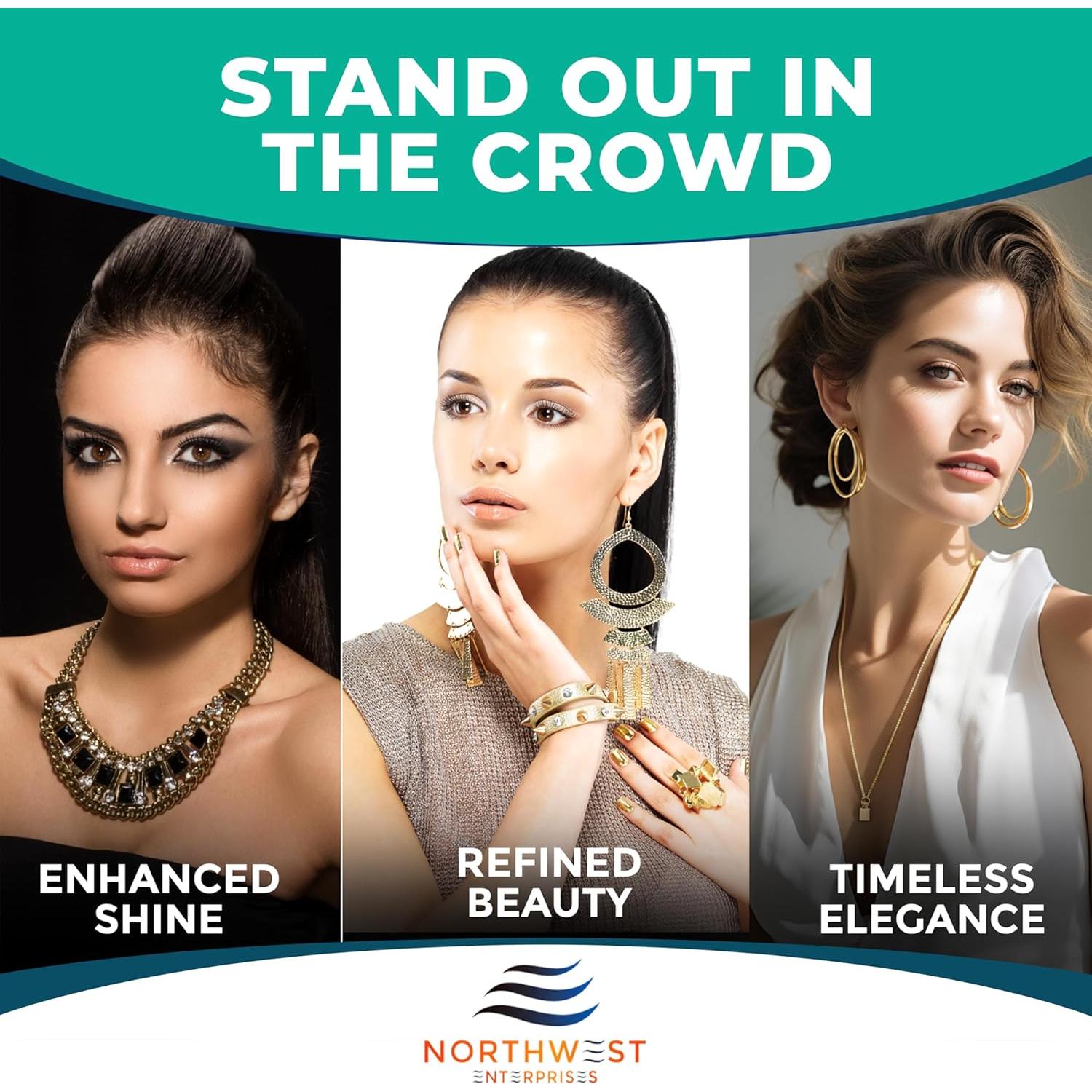 Limpiador Ultrasónico de Joyería Northwest Enterprises 236.6ml