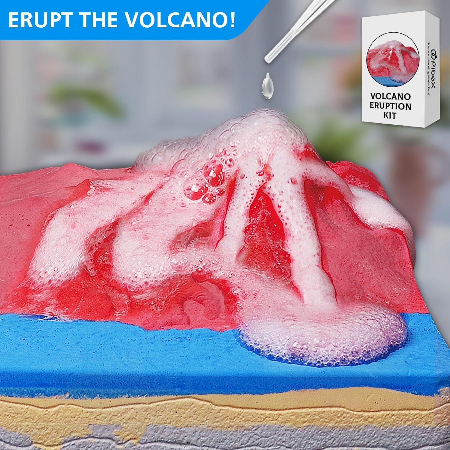 Kit de Excavación de Fósiles PIBEX 20+ Especímenes STEM