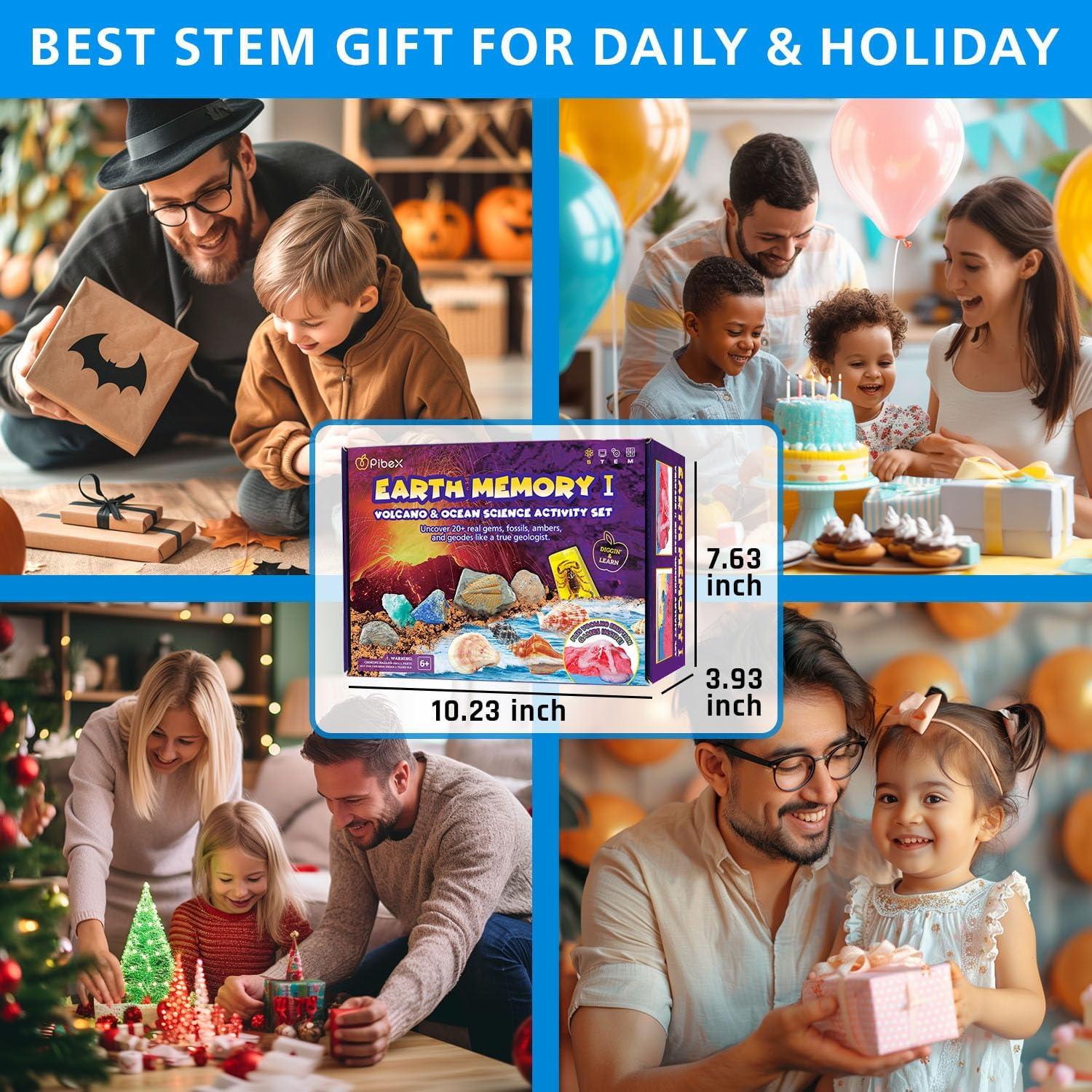 Kit de Excavación de Fósiles PIBEX 20+ Especímenes STEM