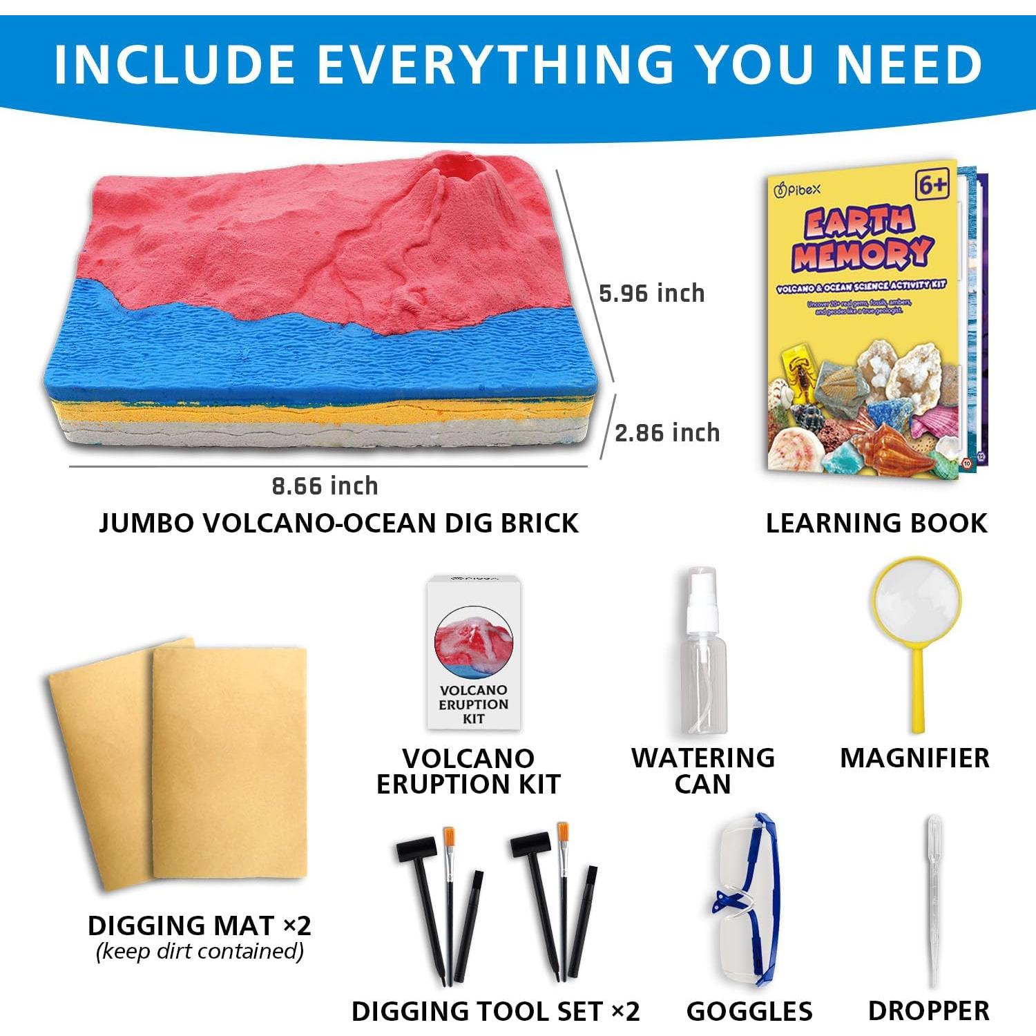 Kit de Excavación de Fósiles PIBEX 20+ Especímenes STEM