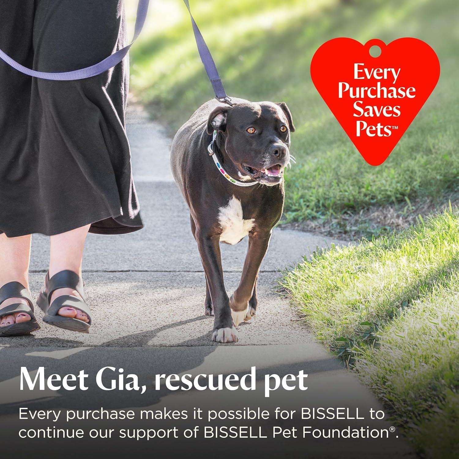 Aspiradora Bissell Eliminador de Pelo de Mascotas Lift-Off HEPA