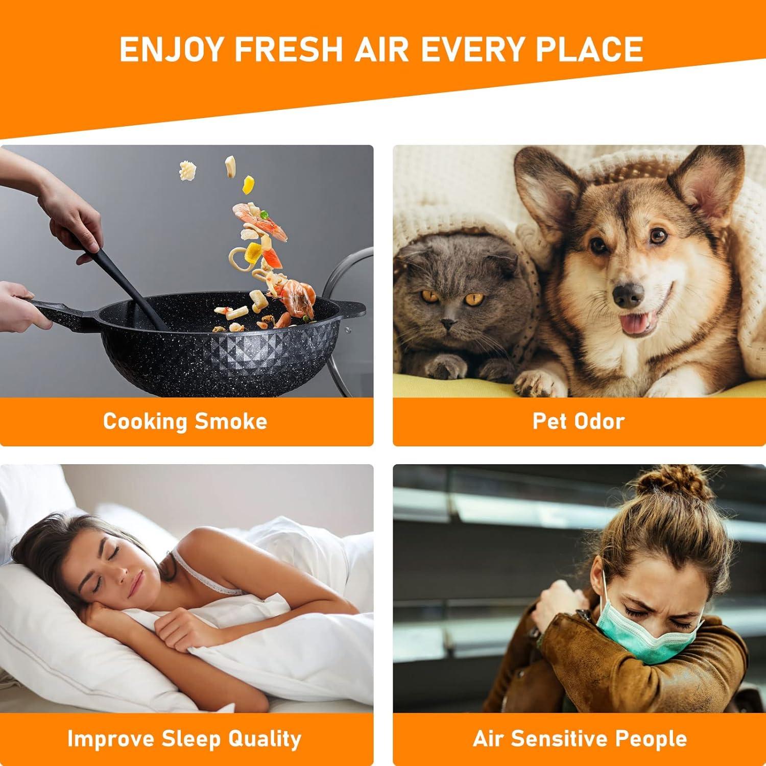 Filtro HEPA Skymechy AP-T30FL Compatible Purificador Aire