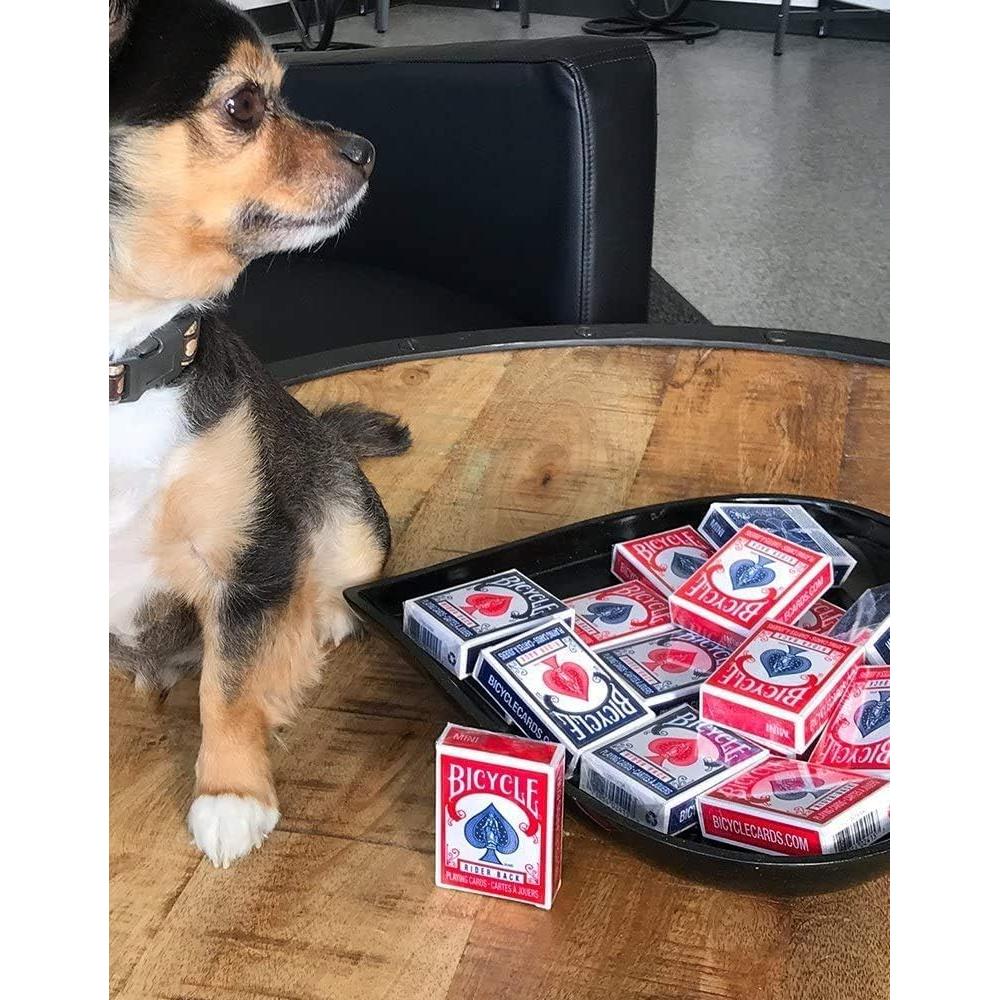 Cartas de Juego Mini Bicycle | Paquete de 2 Barajas | 52 Cartas