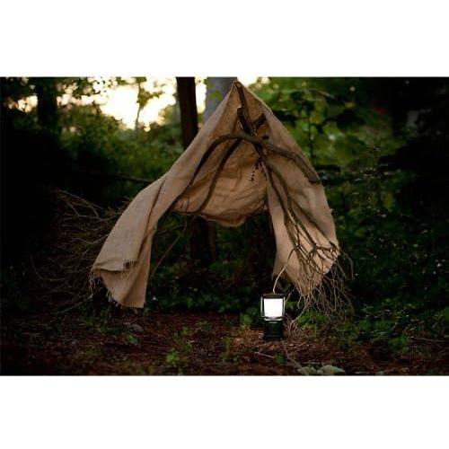 Linterna de Camping Rayovac Sportsman 3D LED 305 Lúmenes Verde