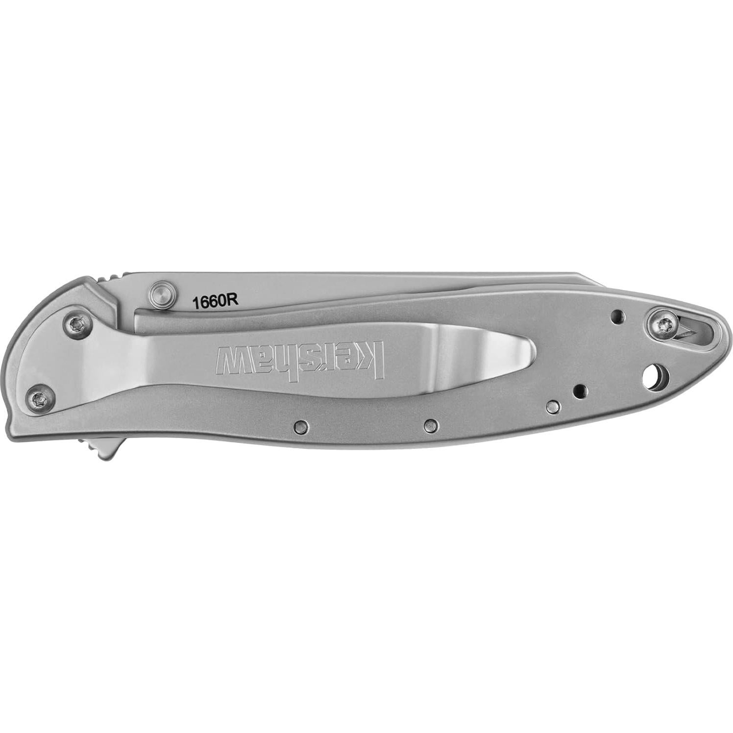 Cuchillo de bolsillo Kershaw Random Leek 3" acero Sandvik