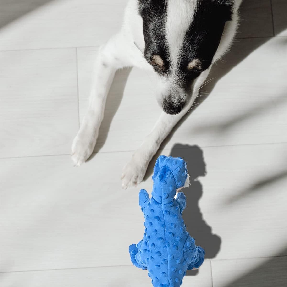 DODODOLA Juguete para Perros Dinosaurio Azul Squeaky 16.5cm