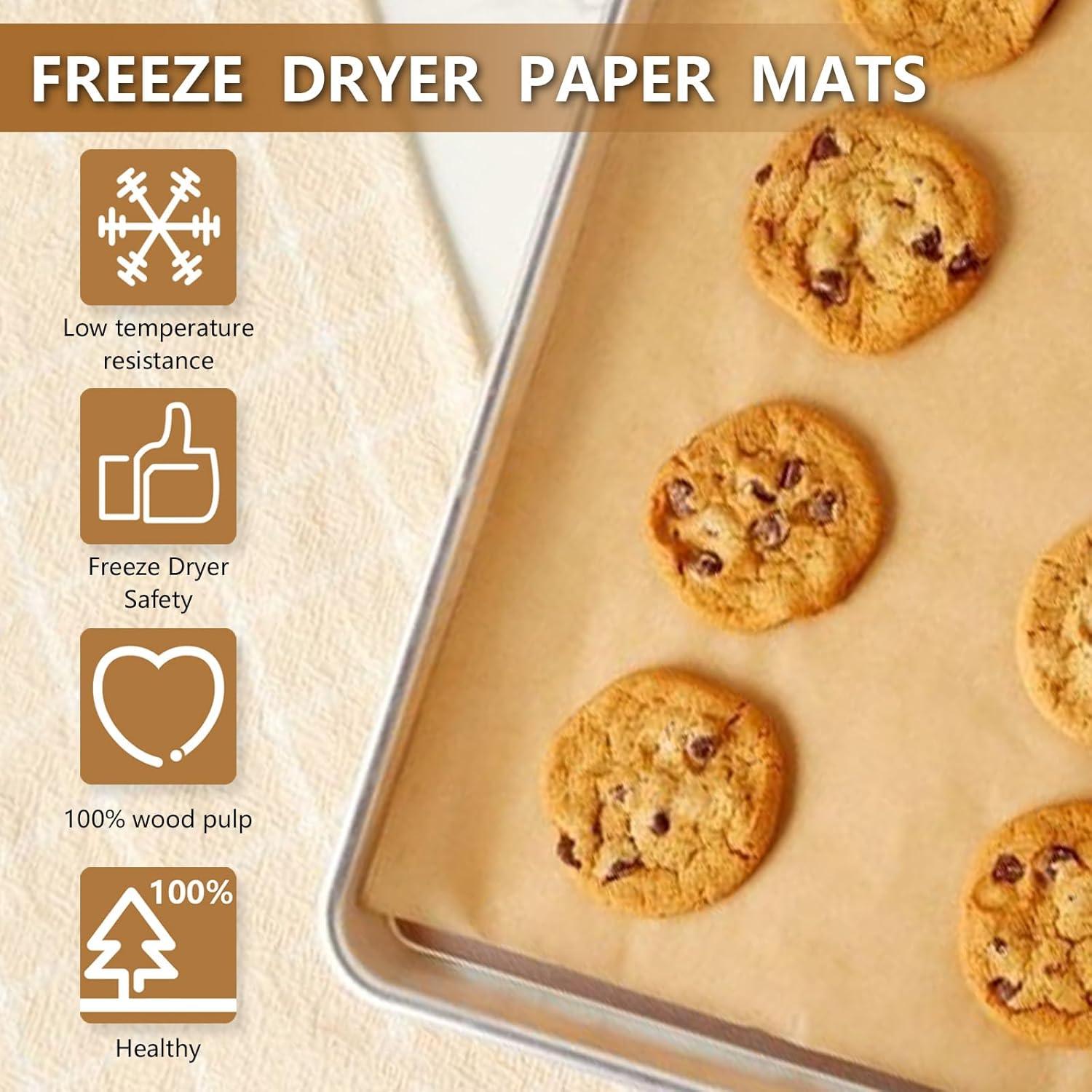 Juego de Tapetes para Bandejas Medianas LSKHEGWLU 100 PCS