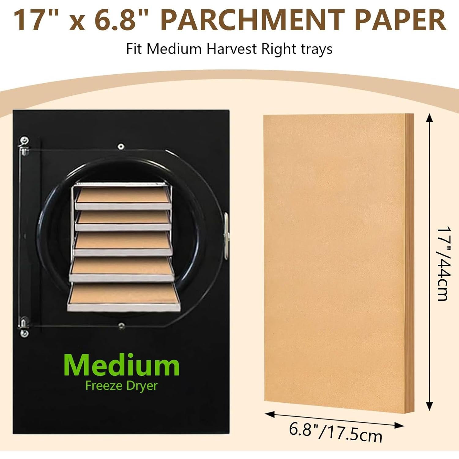 Juego de Tapetes para Bandejas Medianas LSKHEGWLU 100 PCS