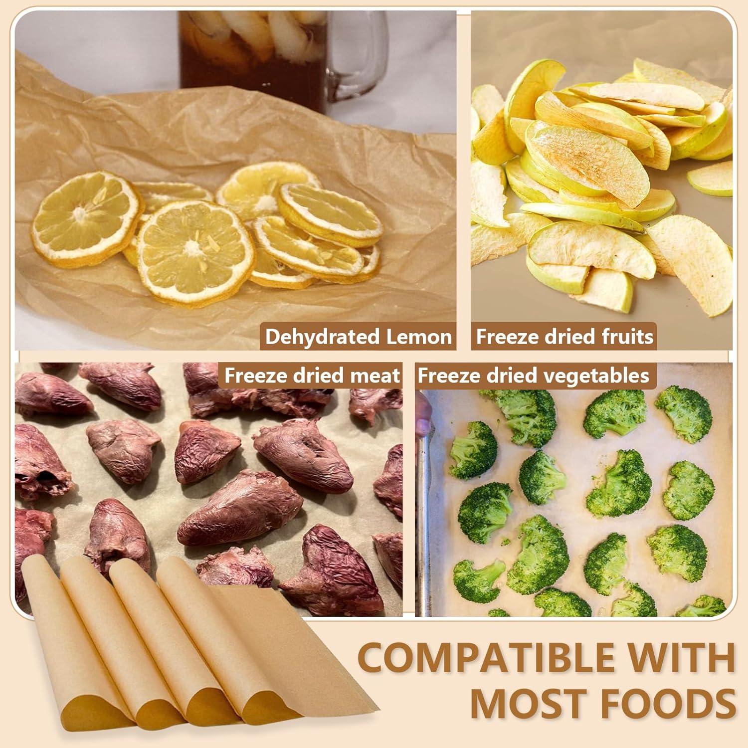 Juego de Tapetes para Bandejas Medianas LSKHEGWLU 100 PCS