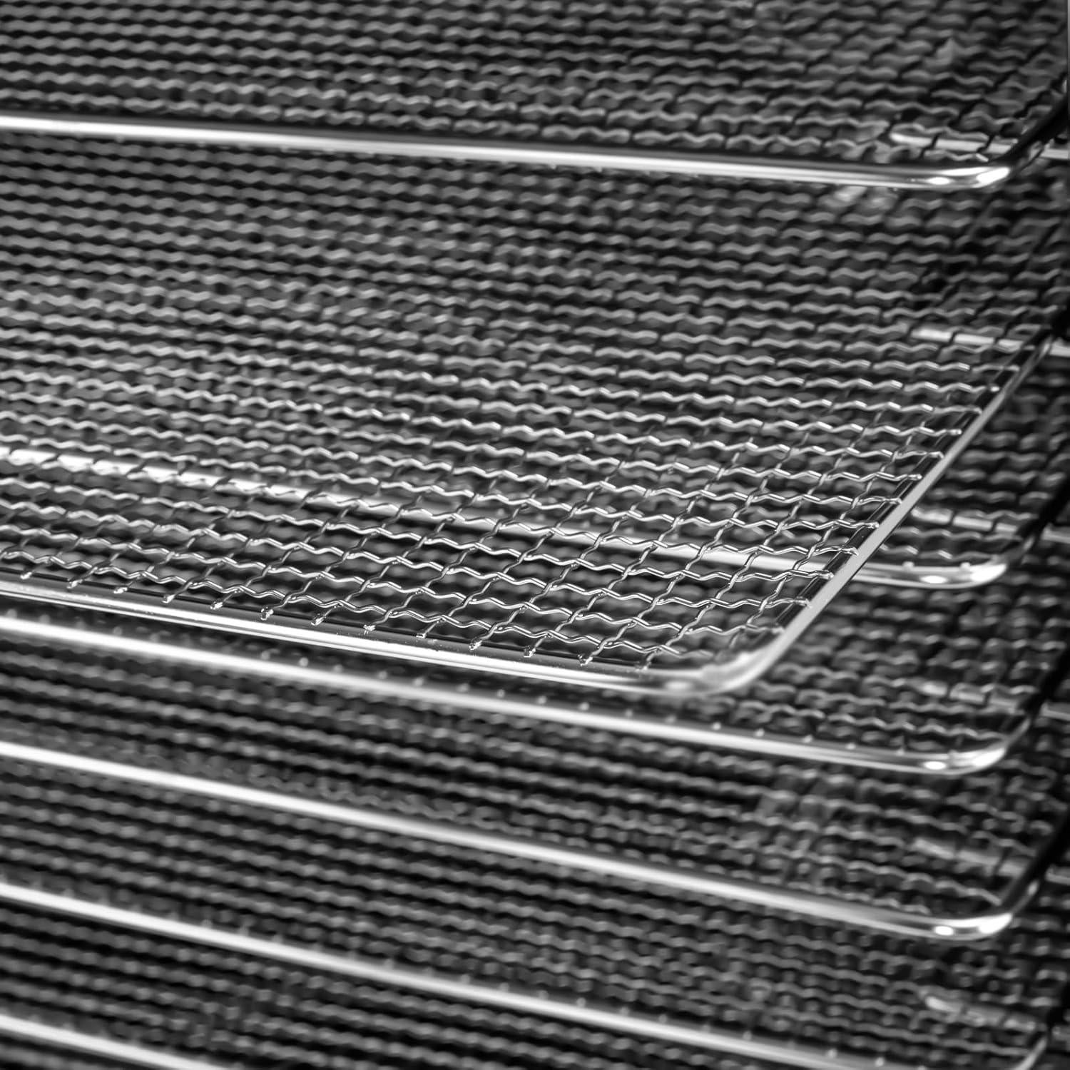 Deshidratador de Alimentos Liffshsy 10 Bandejas 800W Acero Inoxidable