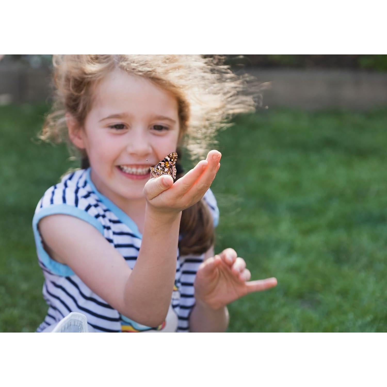 Kit Jardín de Mariposas Insect Lore con Orugas Vivas