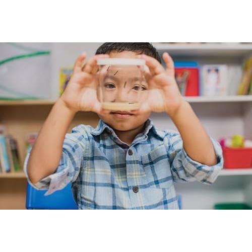 Kit Jardín de Mariposas Insect Lore con Orugas Vivas