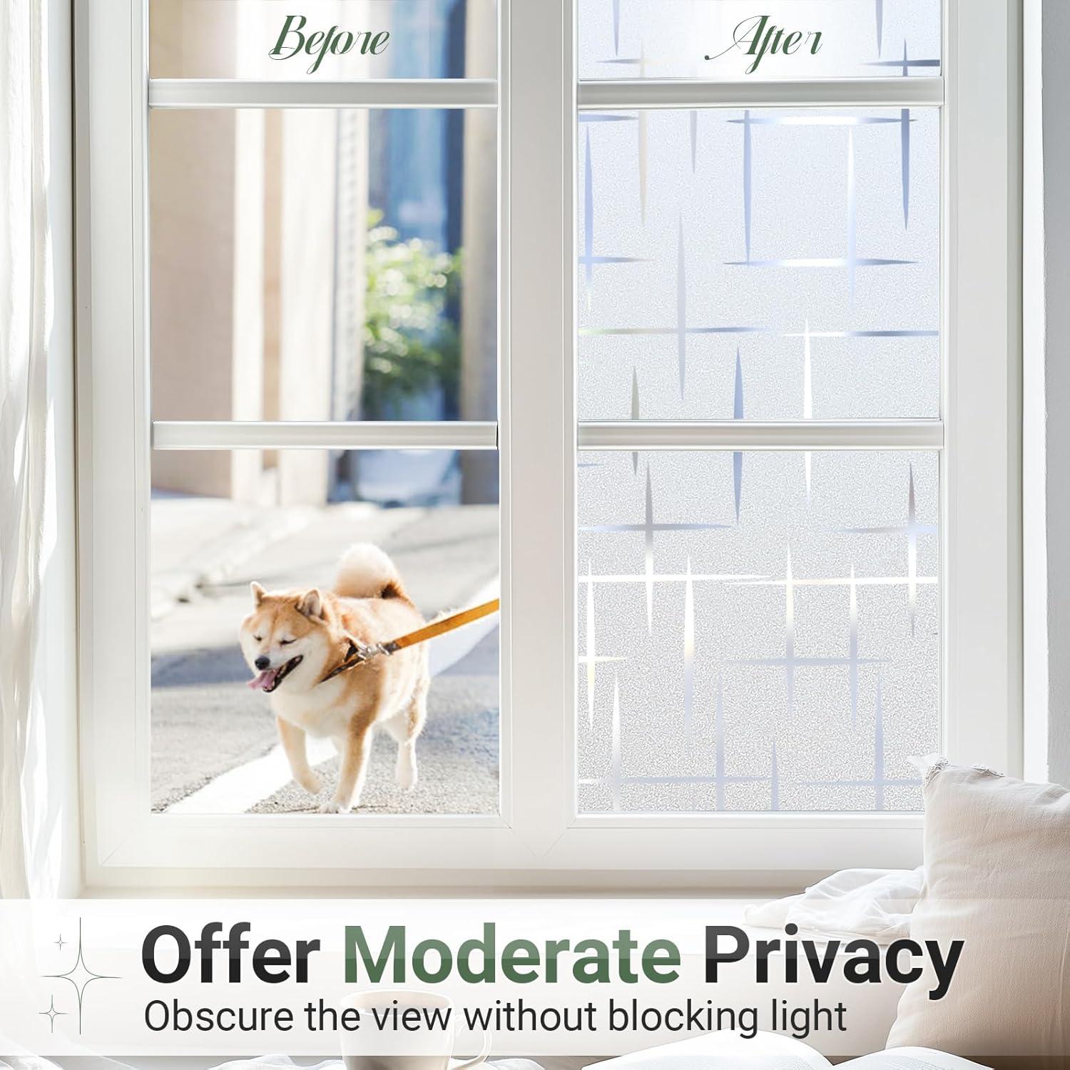 Película de Privacidad Rabbitgoo 30x200 cm Vinilo UV