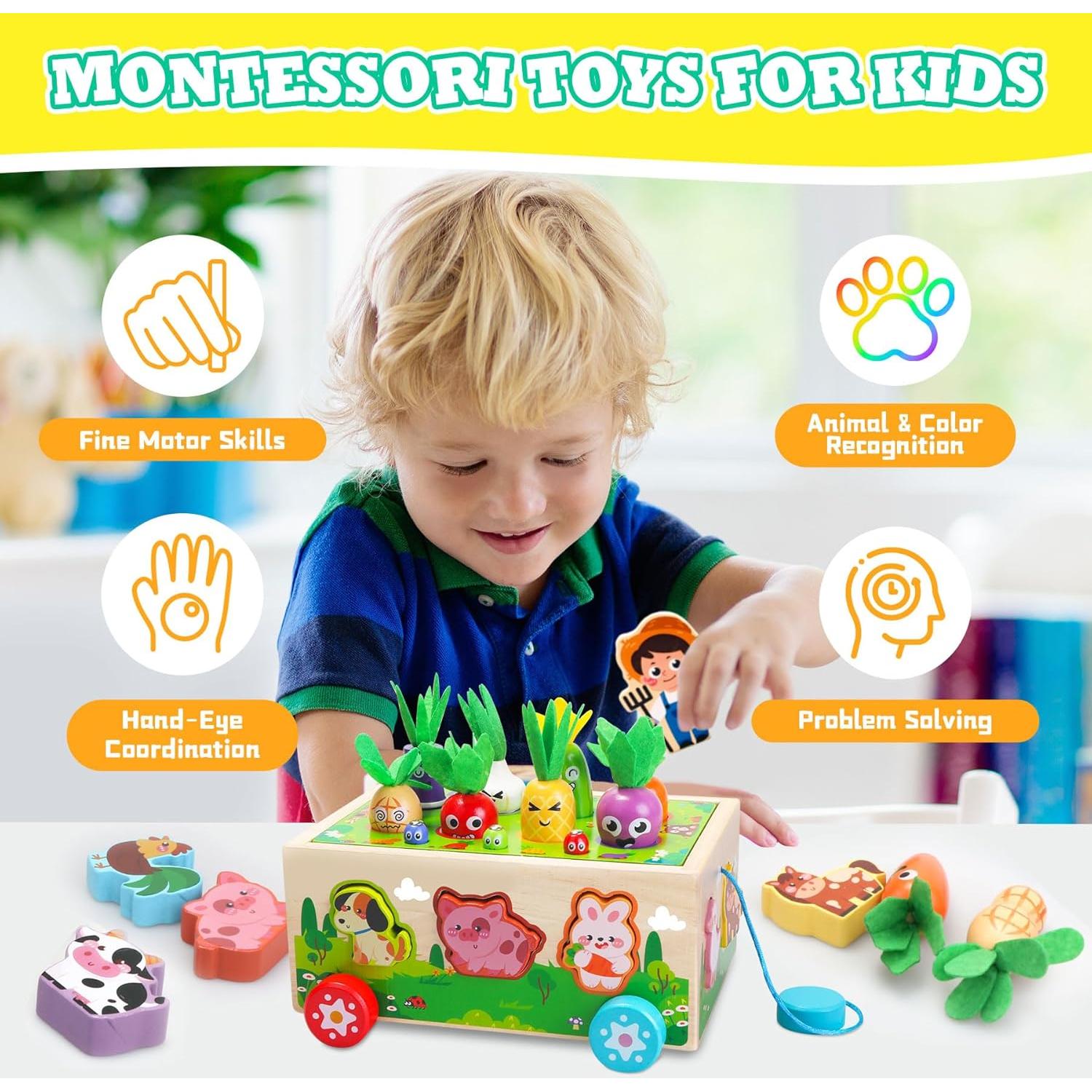 Juguetes Montessori de Madera Tooysea para Niños 1-3 Años