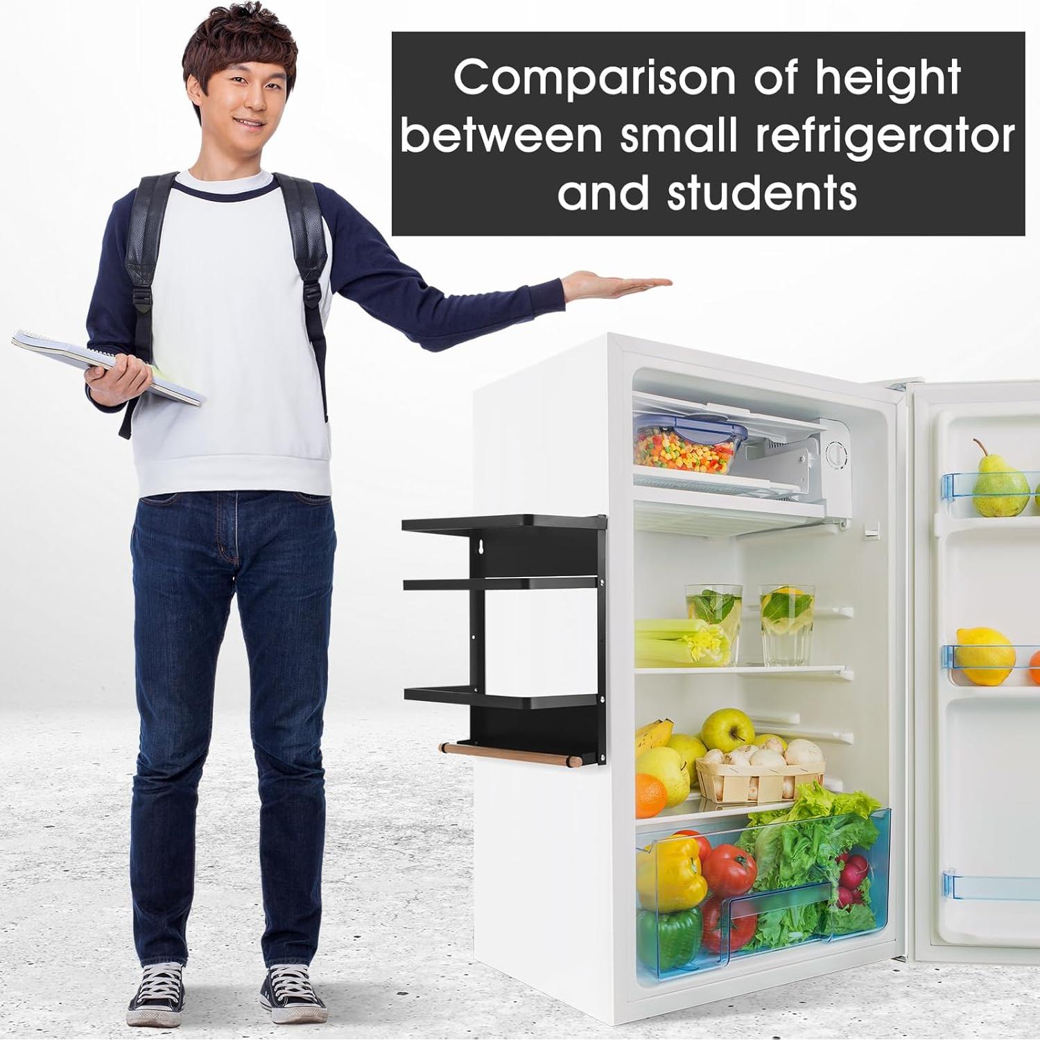 Estante Magnético Reallnaive para Mini Refrigerador Negro 24.9x15x31.5 cm