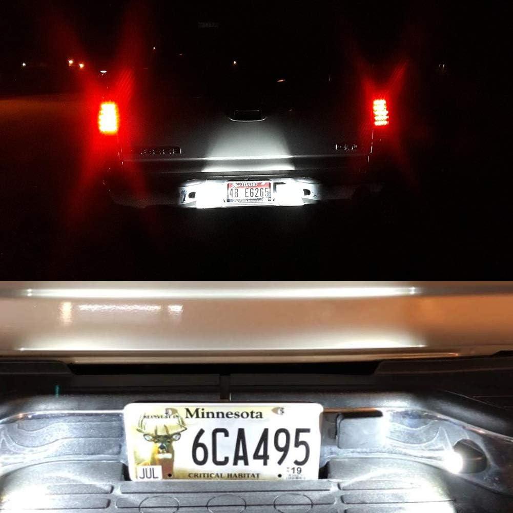 2 Bombillas LED Luz de Placa de Licencia Puddle Light Blanco