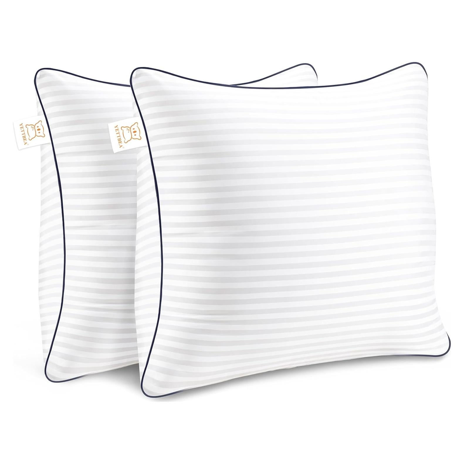 Insertos de Almohada Decorativa Yettbea 50x50 cm Set de 2
