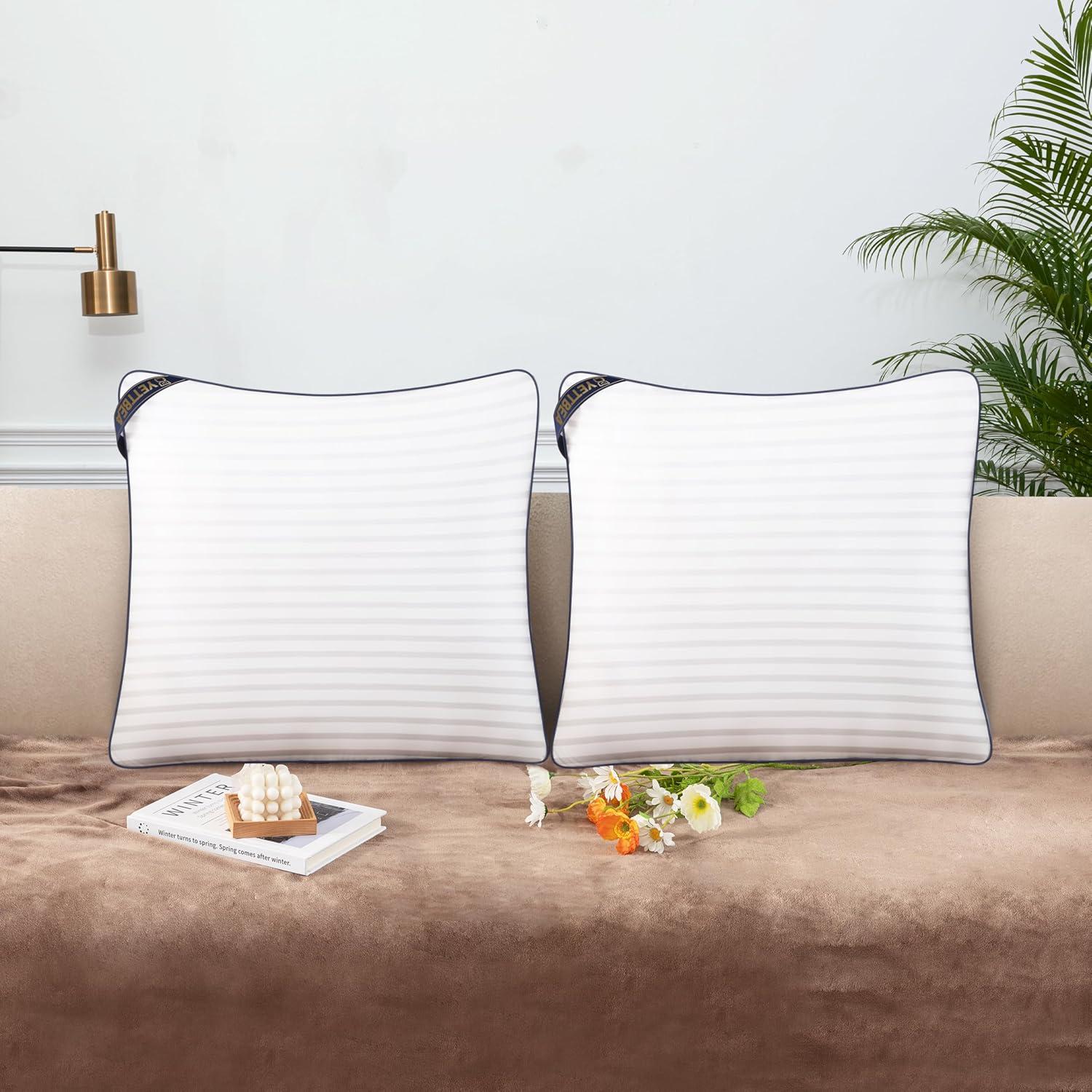 Insertos de Almohada Decorativa Yettbea 50x50 cm Set de 2