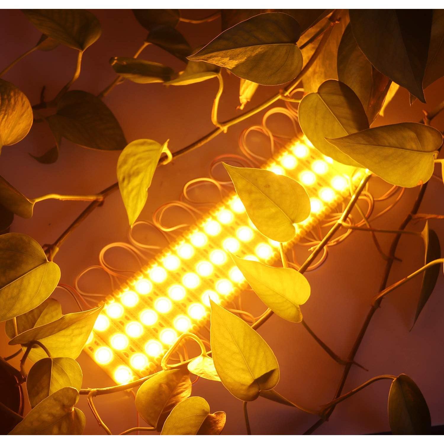 Módulo LED REXTiN Amarillo 200pcs 2835 Impermeable 12V