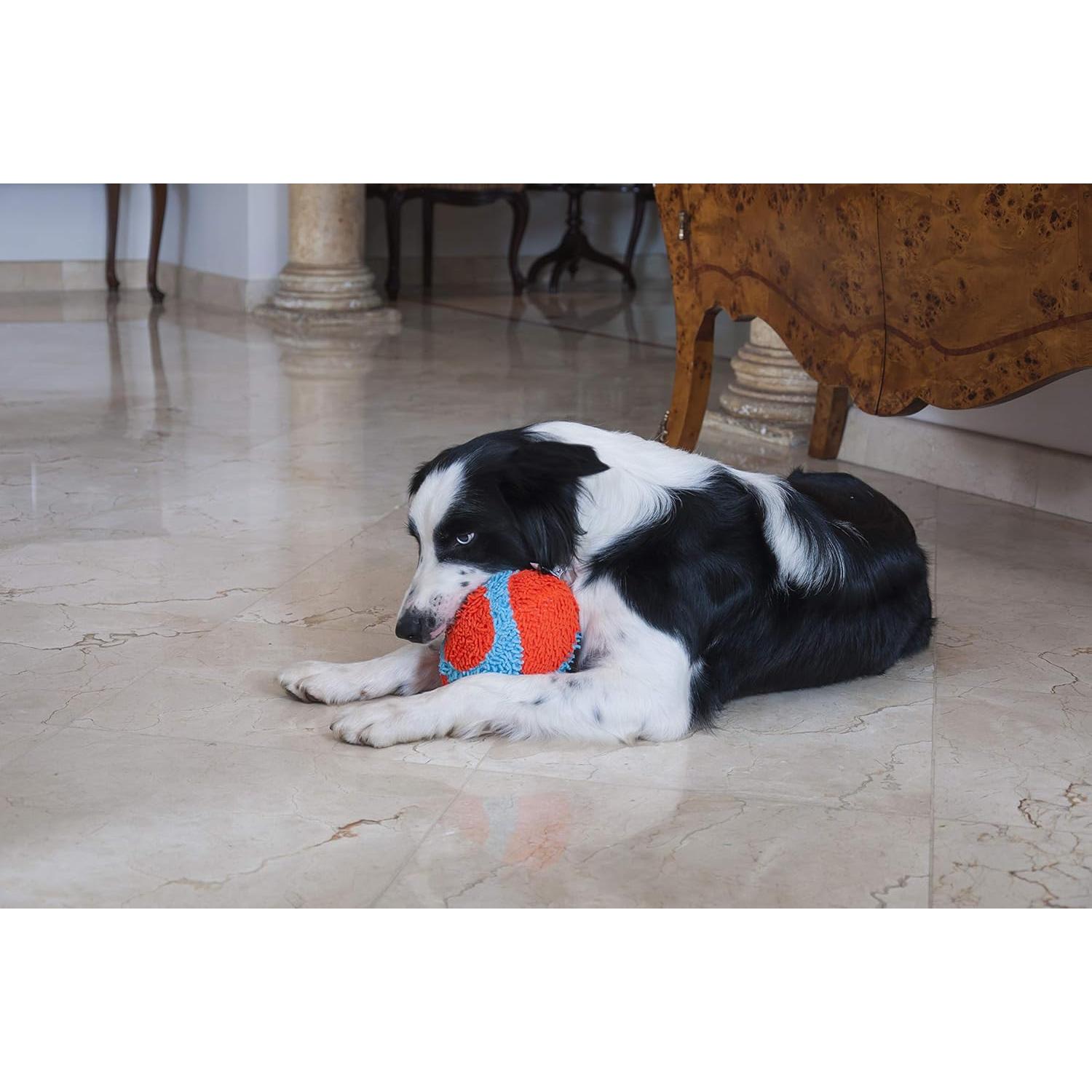 Chuckit! Juguete Fumbler Interior para Perros 19 cm