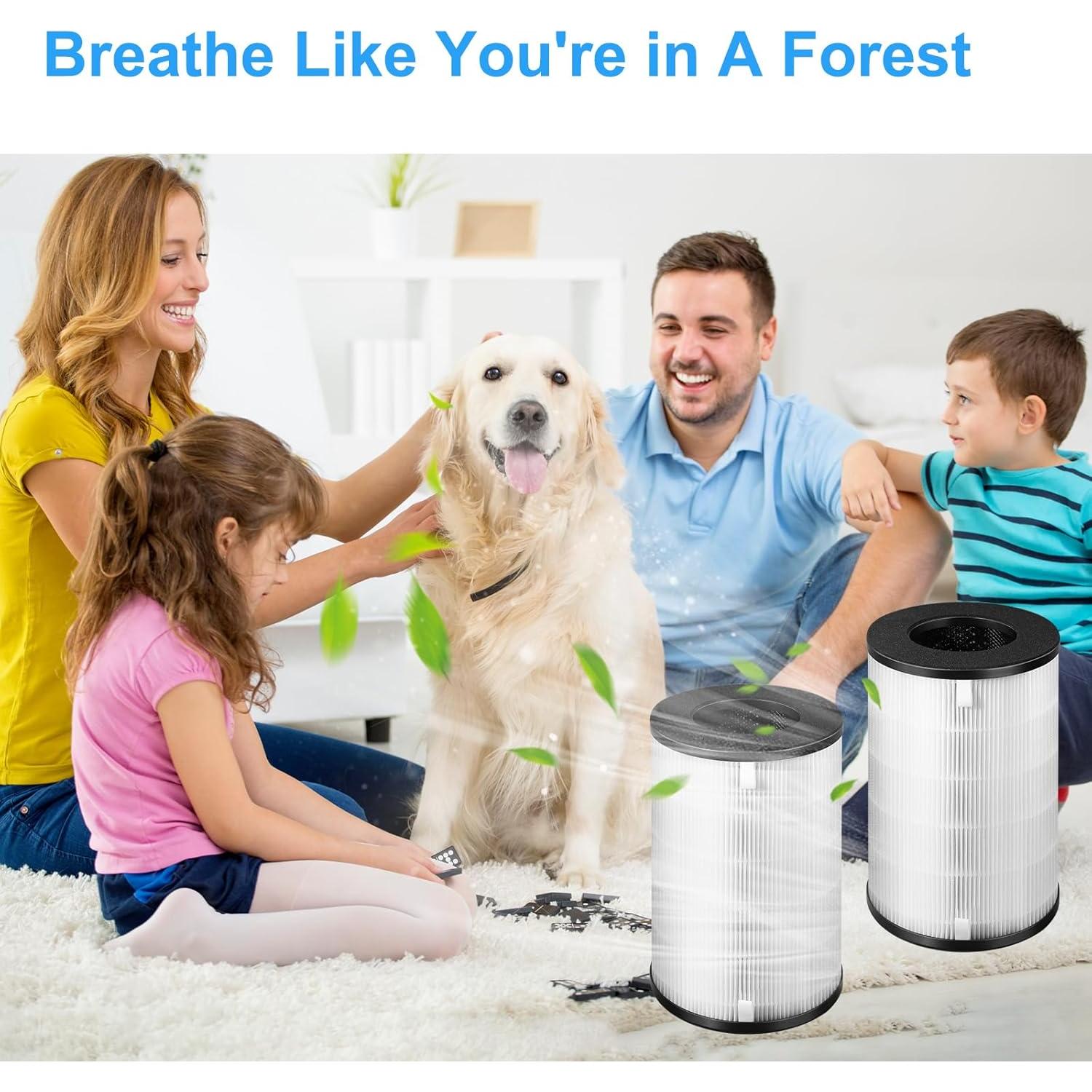 Filtro de Reemplazo HEPA AP-T40FL Homedics 5 en 1 - 2 Paquetes