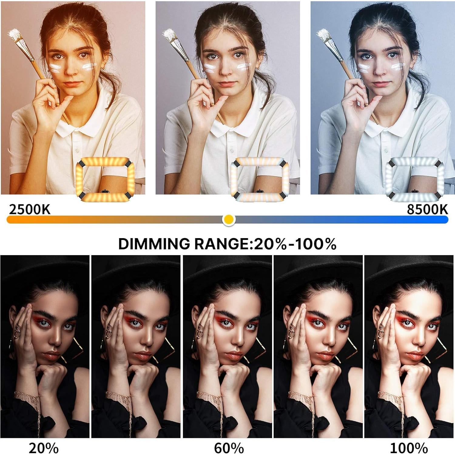 ULANZI Video Rig Smartphone con Luz de Anillo 8500K