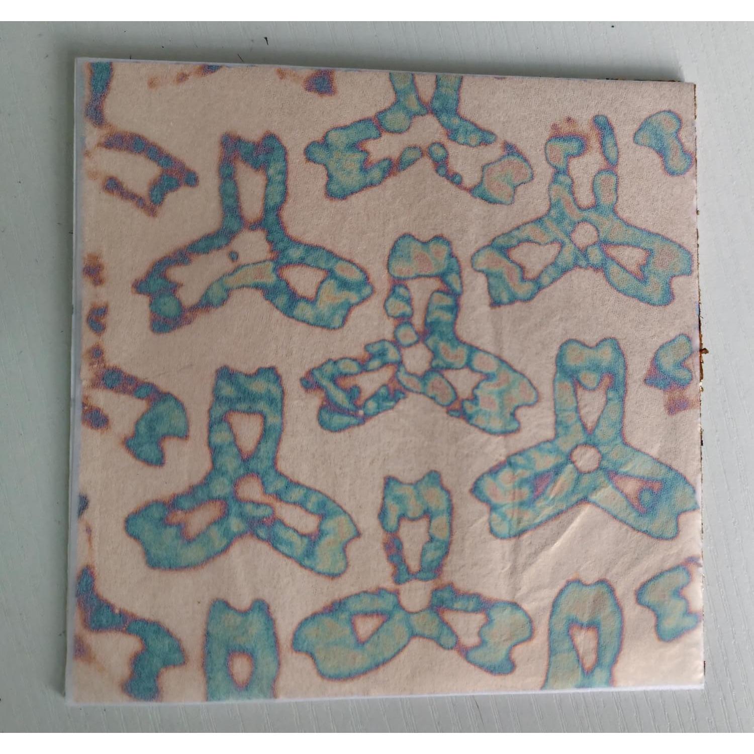 Hoja de Oro Variegada JINRUISI 50 Hojas 14x14 cm Decoración