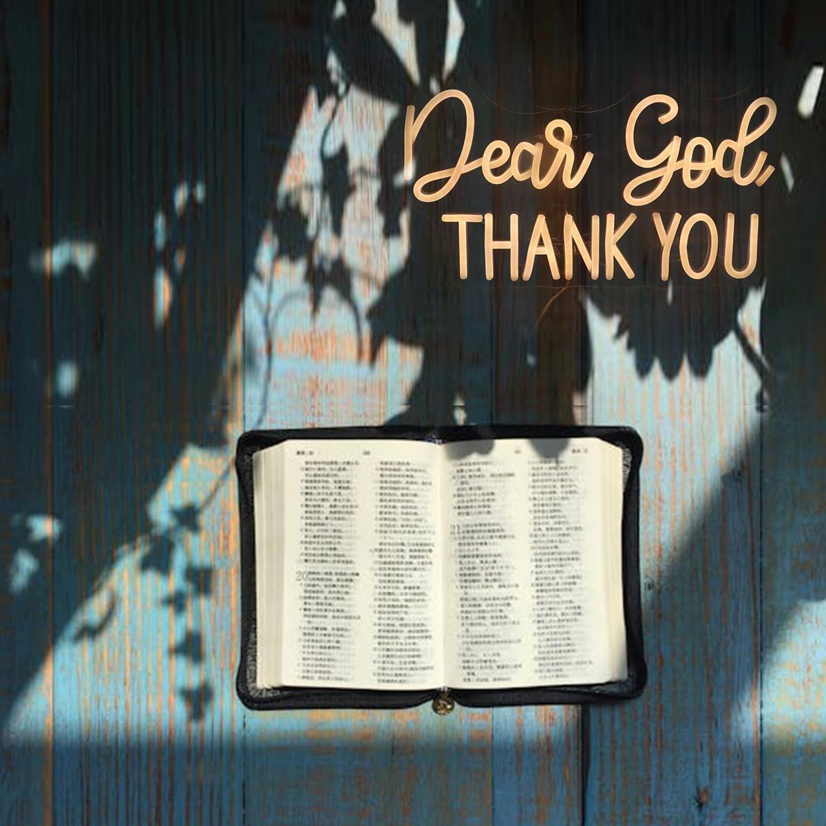 Señal de Neón LED Regulable QiaoFei 'Querido Dios Gracias' 43x25cm