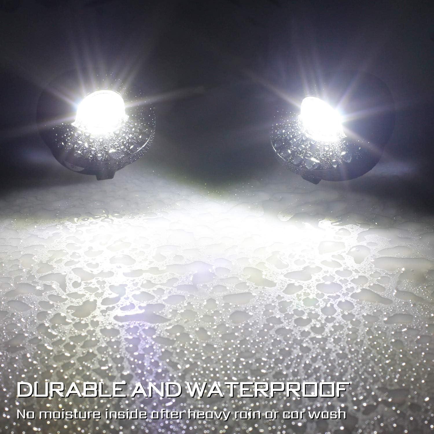 Luz de Placa de Licencia LED RUXIFEY 6500K Impermeable - Paquete de 2