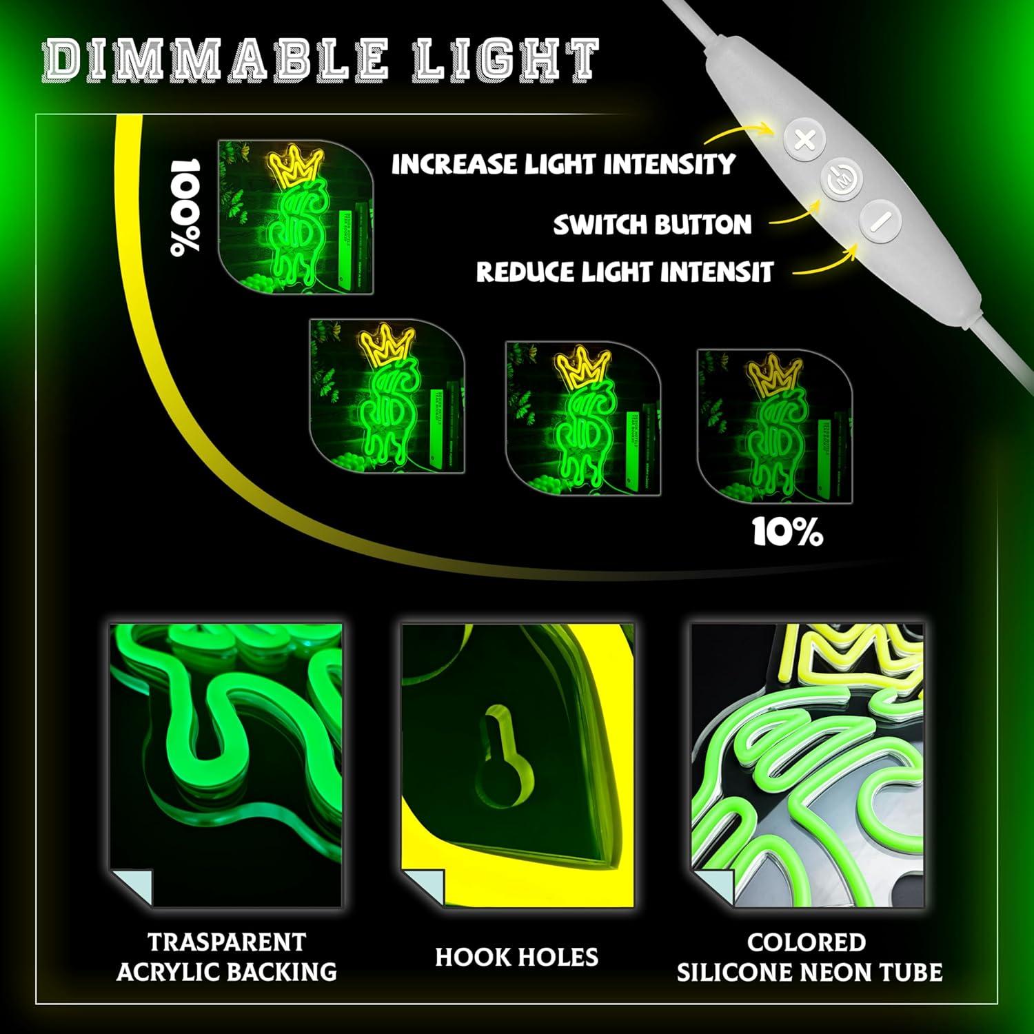 Luz de Neón LED Dólar Verde con Brillo Ajustable - LF