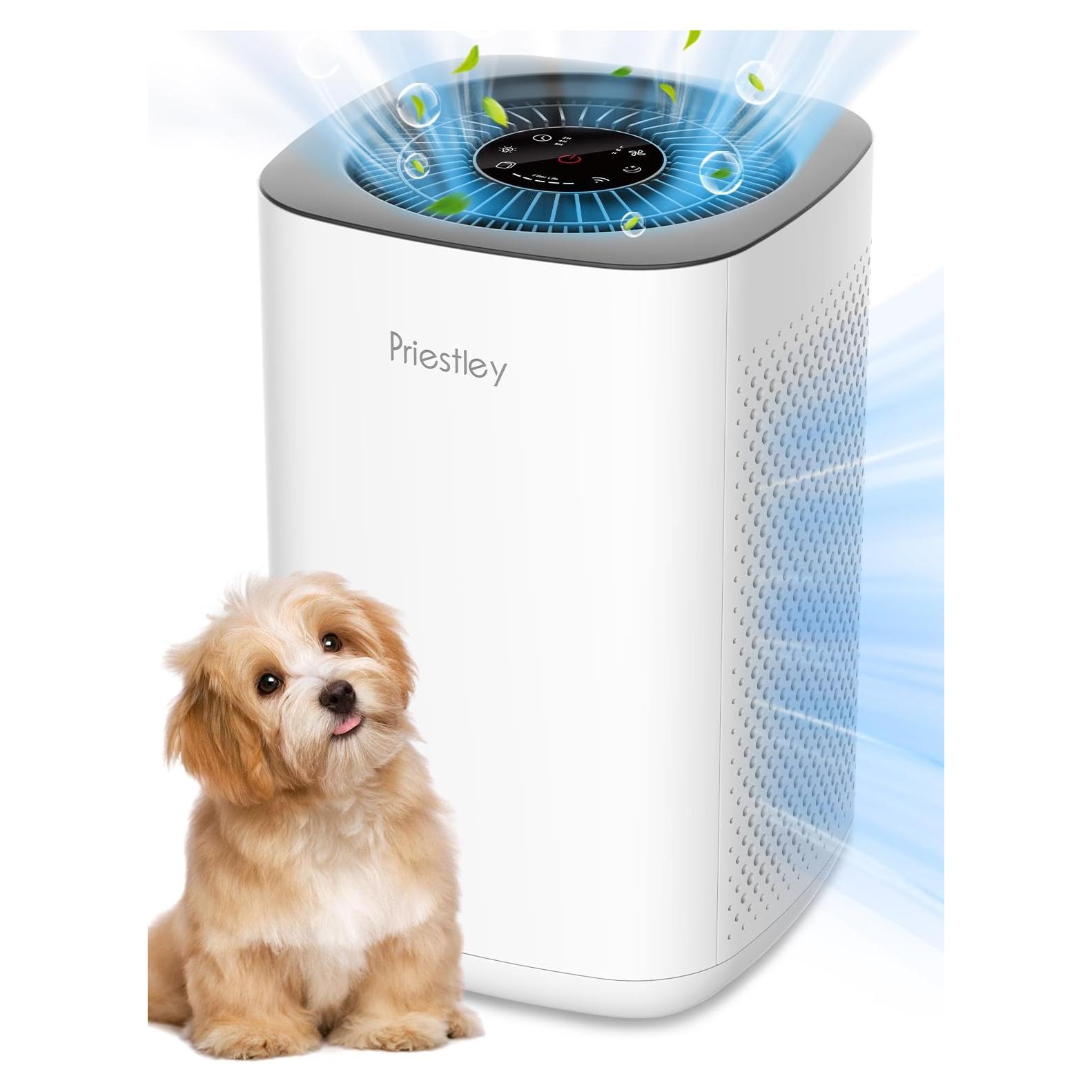 Purificador de Aire Priestley PM1240B para Habitaciones Medianas