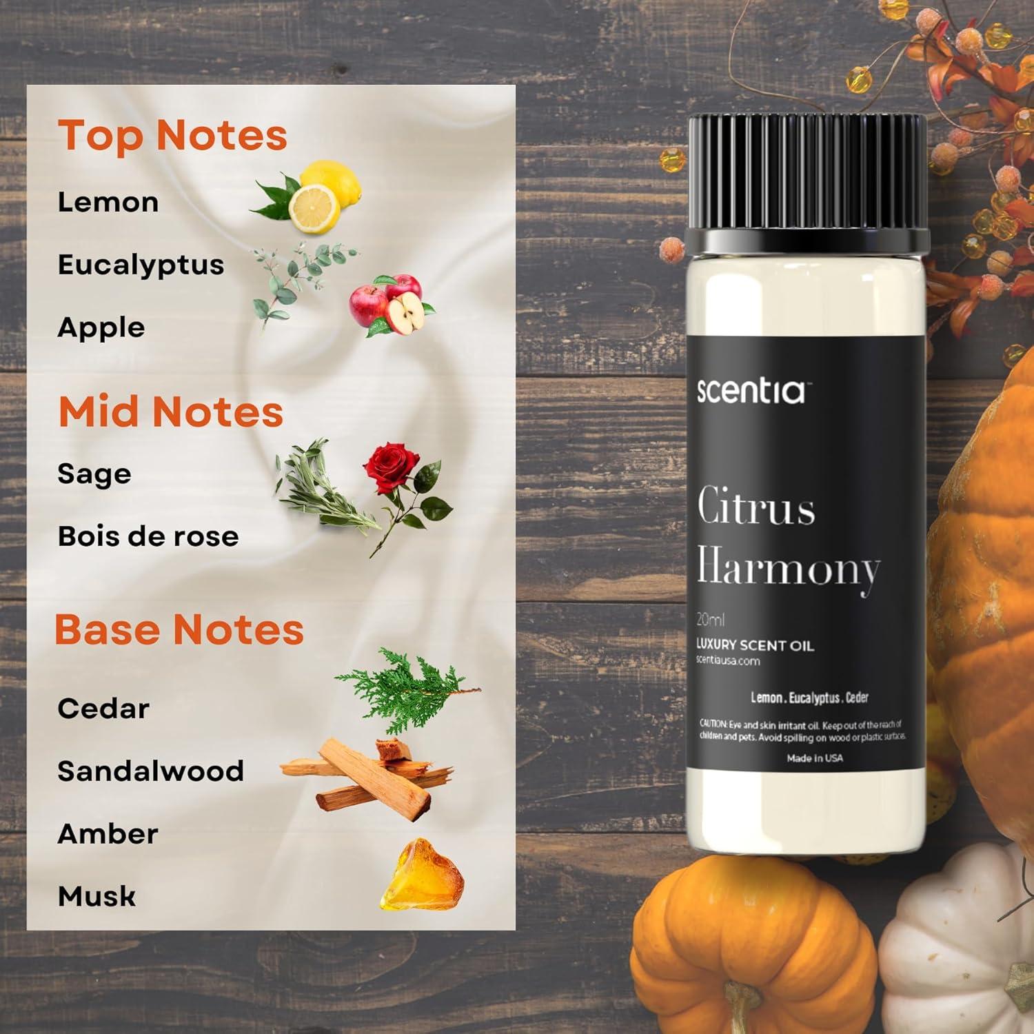 Juego de Aceites Aromáticos Scentia 3x20ml Otoño