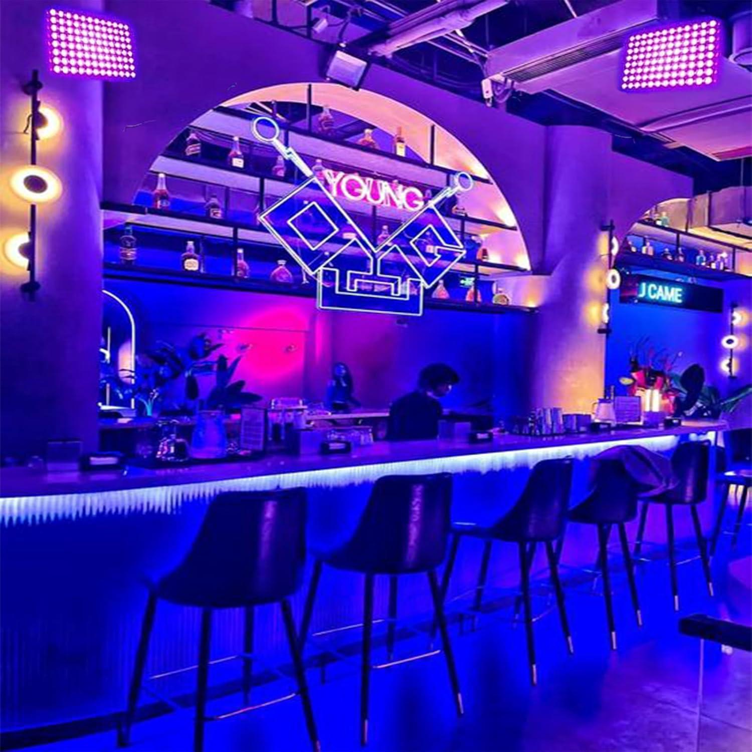 Luz Negra LED 50W Indmird con Soporte Ajustable IP65