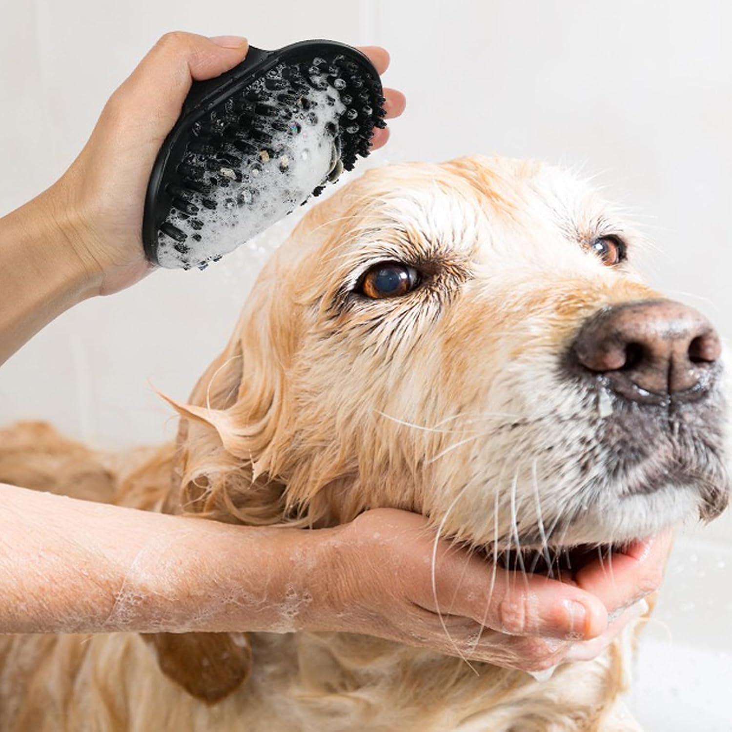 Kit de Cepillos para Perros y Gatos PETIMP 4 en 1 Azul Negro