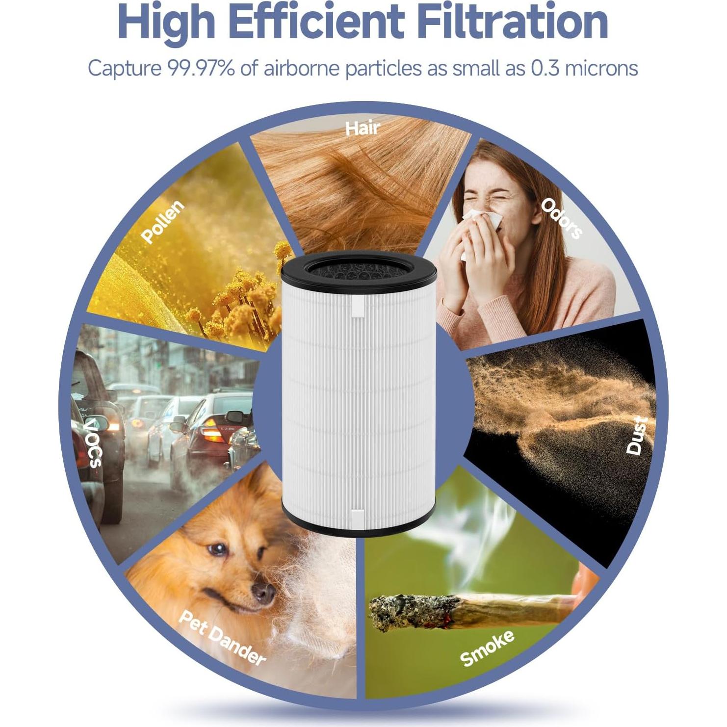 Filtro de Reemplazo H13 HEPA Horserdy AP-T45 AP-T40FL