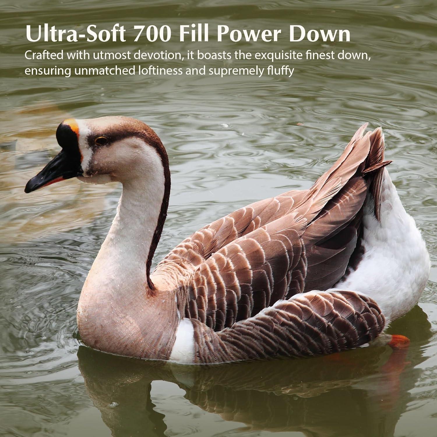 Almohada de Cama Pacific Coast Estándar Plumas Hipoalergénica