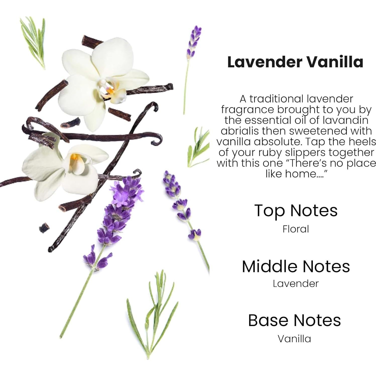 Ambientador de Auto Colgante Burst Bird Lavanda Vainilla - 2 Pzs