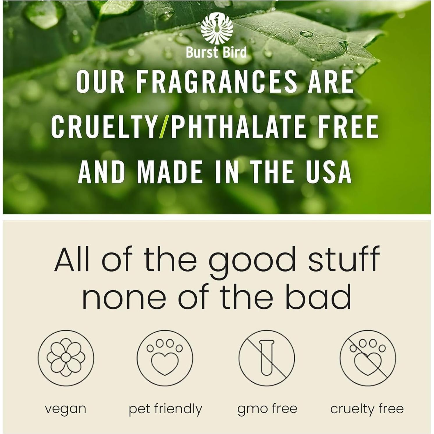 Ambientador de Auto Colgante Burst Bird Lavanda Vainilla - 2 Pzs