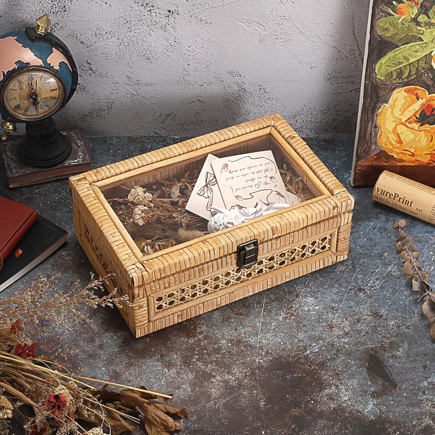 Caja de Exhibición de Ratán Hipiwe con Tapa Transparente 28x18x10cm