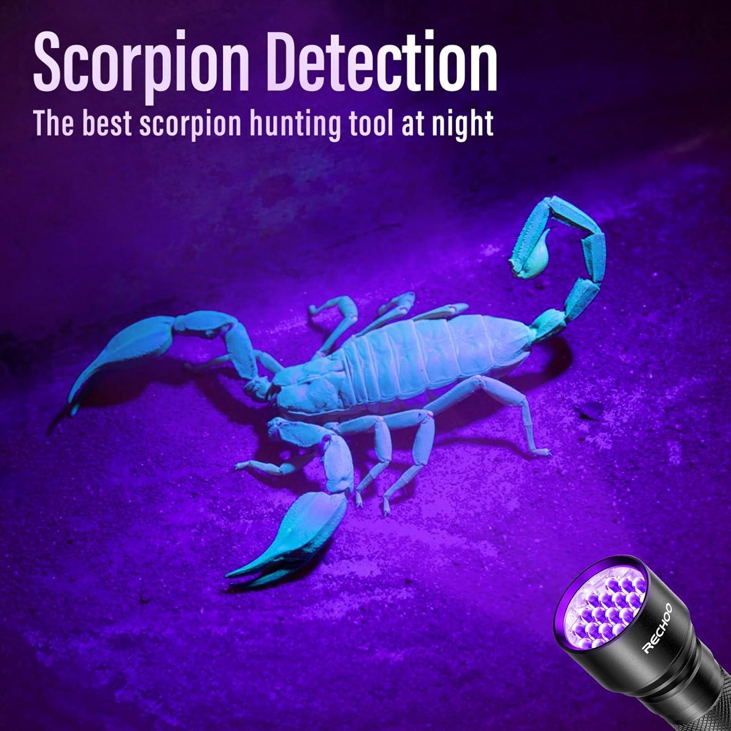 Linterna UV Recargable RECHOO 395nm 21 LED a Prueba de Agua