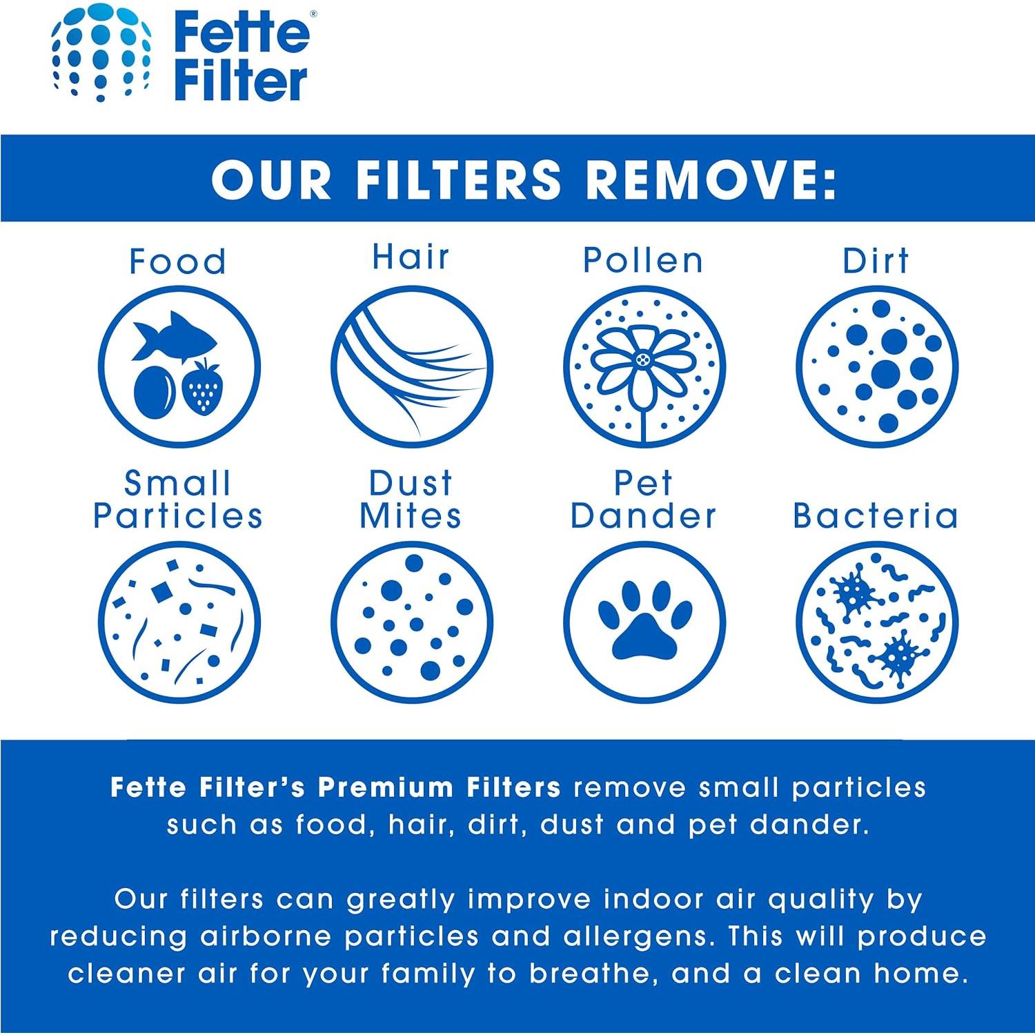 Filtro de Aire Fette para HoMedics TotalClean PetPlus - Paquete de 2