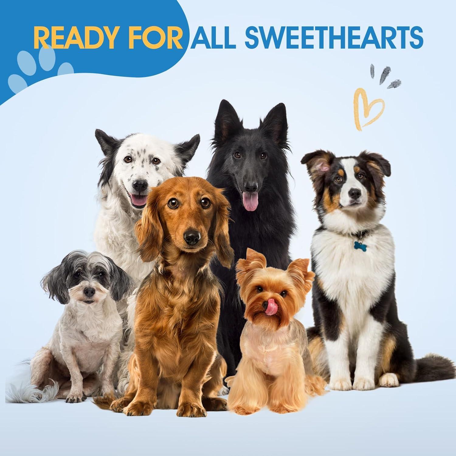 Tijeras de adelgazado curvadas JASON 7" acero inoxidable