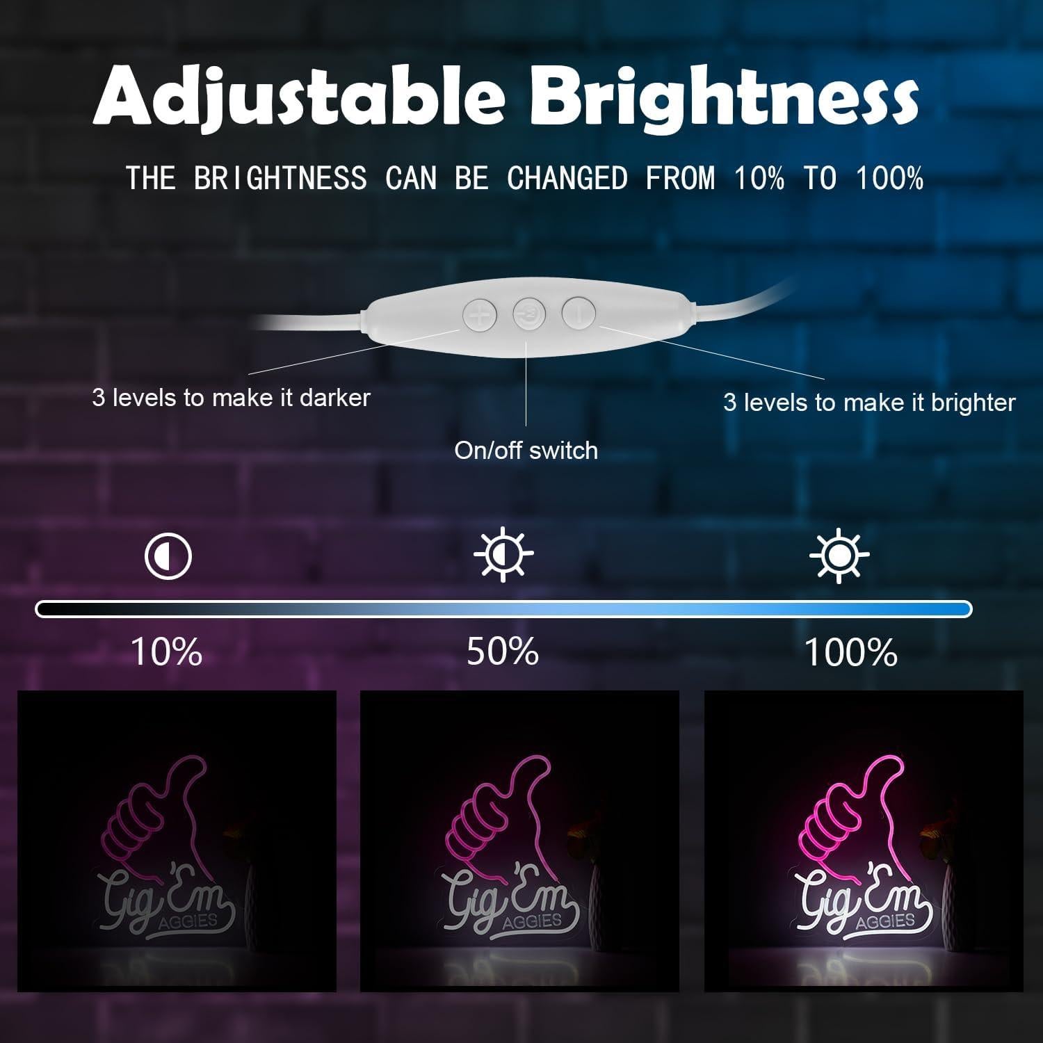 Luz de Neón ZODZ Gig EM Texas 42x32 cm Rosa y Blanco