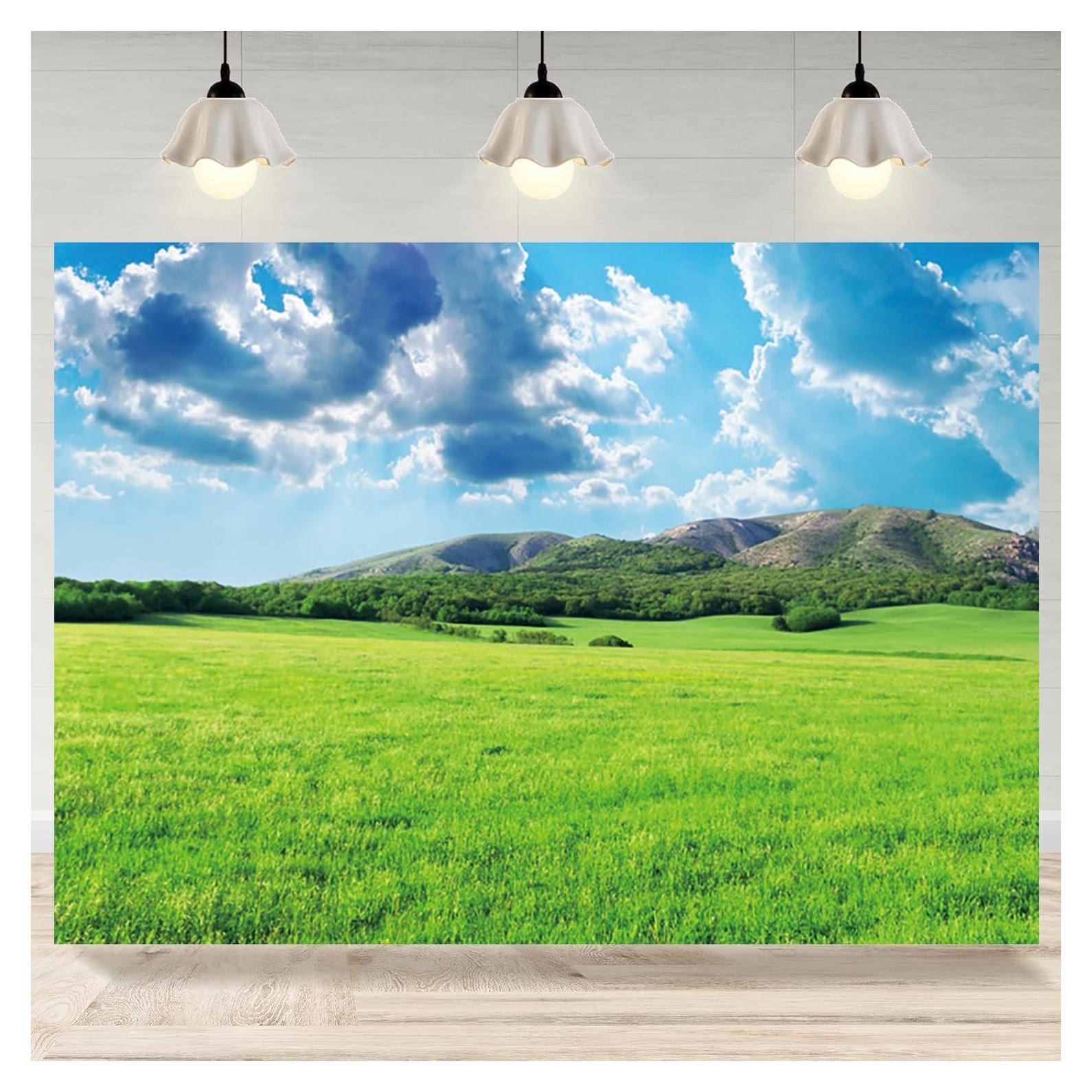 Fondo Fotográfico Vinilo 1.5x0.9m TOENGS Cielo Nubes