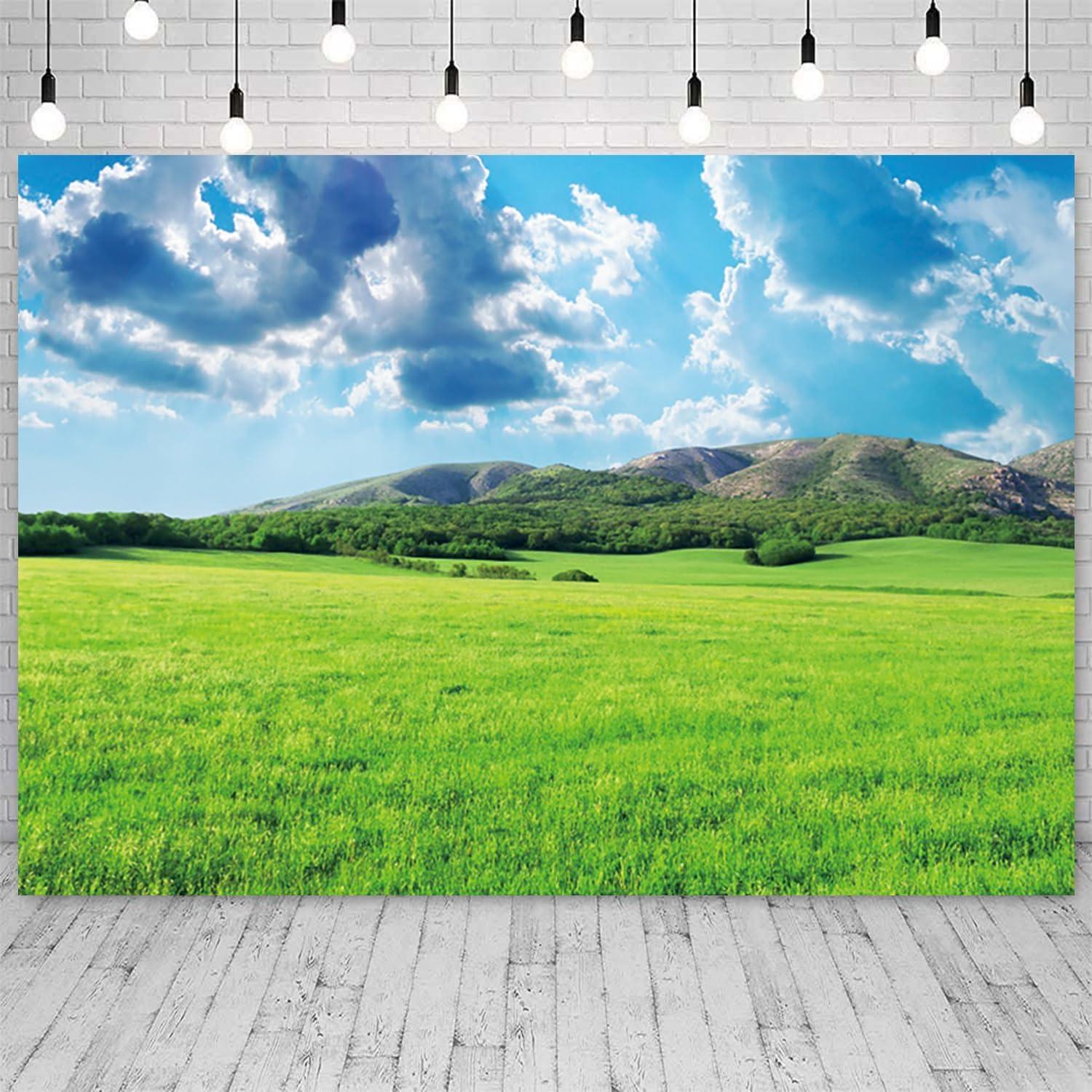 Fondo Fotográfico Vinilo 1.5x0.9m TOENGS Cielo Nubes